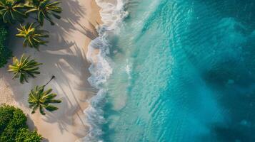 Azure coast of the ocean with palm trees, sand, surf and shells. AI Generated photo