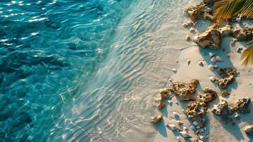 Azure coast of the ocean with palm trees, sand, surf and shells. AI Generated photo