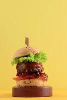 Homemade Mini Burger photo