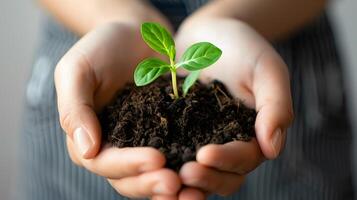 AI generated Human palms hold soil with a green small plant as a concept for business development. AI Generated photo