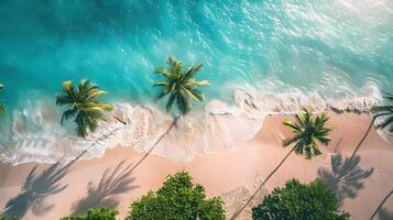Azure coast of the ocean with palm trees, sand, surf and shells. AI Generated photo