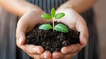 AI generated Human palms hold soil with a green small plant as a concept for business development. AI Generated photo