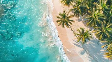 Azure coast of the ocean with palm trees, sand, surf and shells. AI Generated photo