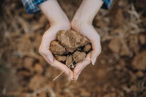 Top view of soil in hands for check the quality of the soil for control soil quality before seed plant. Future agriculture concept. Smart farming, using modern technologies in agriculture photo