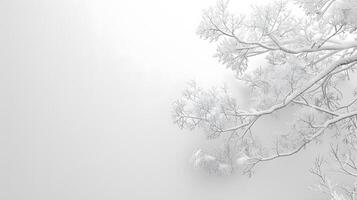 AI generated White abstract texture background. AI Generated photo