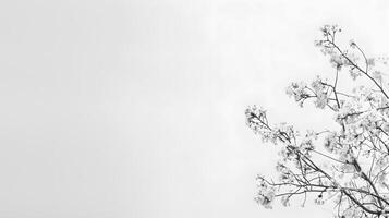 AI generated White abstract texture background. AI Generated photo