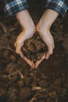 Top view of soil in hands for check the quality of the soil for control soil quality before seed plant. Future agriculture concept. Smart farming, using modern technologies in agriculture photo