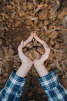 Top view of soil in hands for check the quality of the soil for control soil quality before seed plant. Future agriculture concept. Smart farming, using modern technologies in agriculture photo