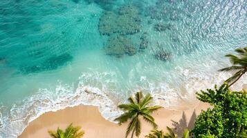 Azure coast of the ocean with palm trees, sand, surf and shells. AI Generated photo