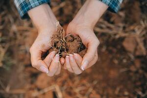 Top view of soil in hands for check the quality of the soil for control soil quality before seed plant. Future agriculture concept. Smart farming, using modern technologies in agriculture photo