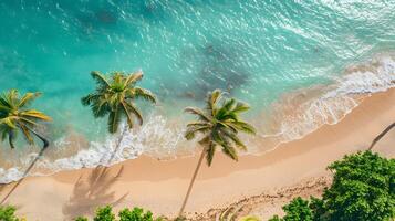 Azure coast of the ocean with palm trees, sand, surf and shells. AI Generated photo