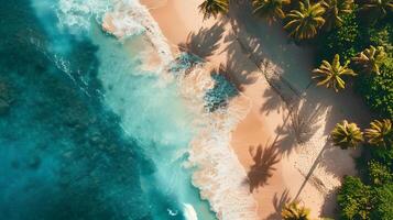 Azure coast of the ocean with palm trees, sand, surf and shells. AI Generated photo