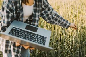 Smart farm. Farmer with tablet in the field. Agriculture, gardening or ecology concept. Harvesting. Agro business. photo