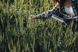 Smart farm. Farmer with tablet in the field. Agriculture, gardening or ecology concept. Harvesting. Agro business. photo