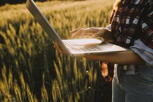 Smart farm. Farmer with tablet in the field. Agriculture, gardening or ecology concept. Harvesting. Agro business. photo