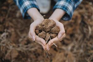 Top view of soil in hands for check the quality of the soil for control soil quality before seed plant. Future agriculture concept. Smart farming, using modern technologies in agriculture photo