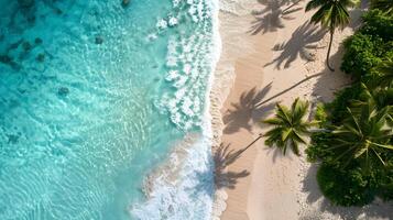 azur costa de el Oceano con palma árboles, arena, navegar y conchas ai generado foto