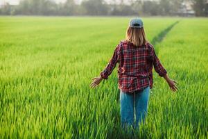 espalda ver de un granjero con brazos extendido, conmovedor el consejos de arroz plantas en un vasto, verde arrozal campo. foto