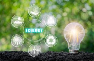 Ecology concept, Lightbulb on soil with ecology icon on virtual screen. photo