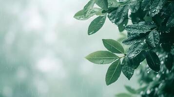 ai generado gotas de lluvia en verde hojas con borroso antecedentes en lluvioso temporada foto