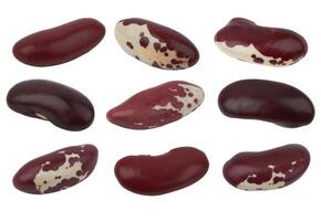 Red beans isolated photo