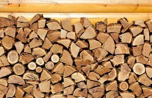 Background of dry firewood photo