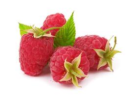 Raspberry on white photo