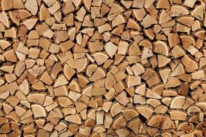 Background of dry firewood photo