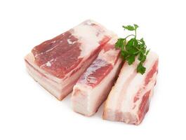 Raw pork belly with streaks photo