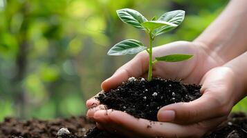 ai generado humano palmas sostener suelo con un verde pequeño planta como un concepto para negocio desarrollo. ai generado foto