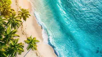 Azure coast of the ocean with palm trees, sand, surf and shells. AI Generated photo