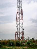 Internet provider network transmitter tower standing in the middle of a rice field photo