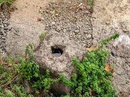 The concrete box with a hole in the middle is filled with water and has wild plants growing around it photo