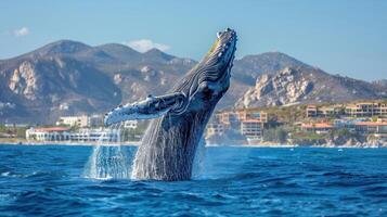 AI generated Jumping humpback whale over water. photo