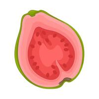 Illustration of half guava vector