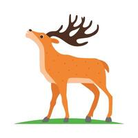 Illustration of deer vector