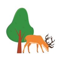 Illustration of deer vector