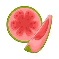 Illustration of guava slice vector