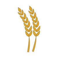 Illustration of wheat vector