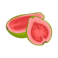 Illustration of guava slice vector