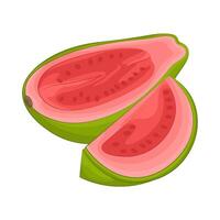 Illustration of guava slice vector