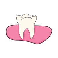 Illustration of tooth vector