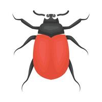 Illustration of bug vector