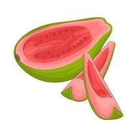 Illustration of guava slice vector