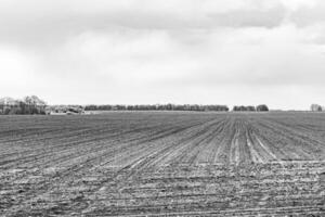 Photography on theme big empty farm field for organic harvest photo