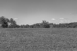 Photography on theme big empty farm field for organic harvest photo