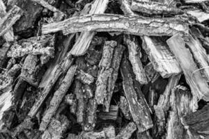 Photography on theme big wall of stacked oak tree logs in cracks photo