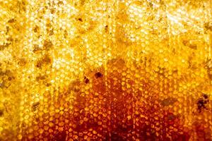 Drop of bee honey drip from hexagonal honeycombs filled with golden nectar photo