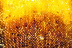 Drop of bee honey drip from hexagonal honeycombs filled with golden nectar photo