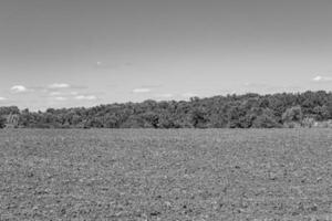 Photography on theme big empty farm field for organic harvest photo